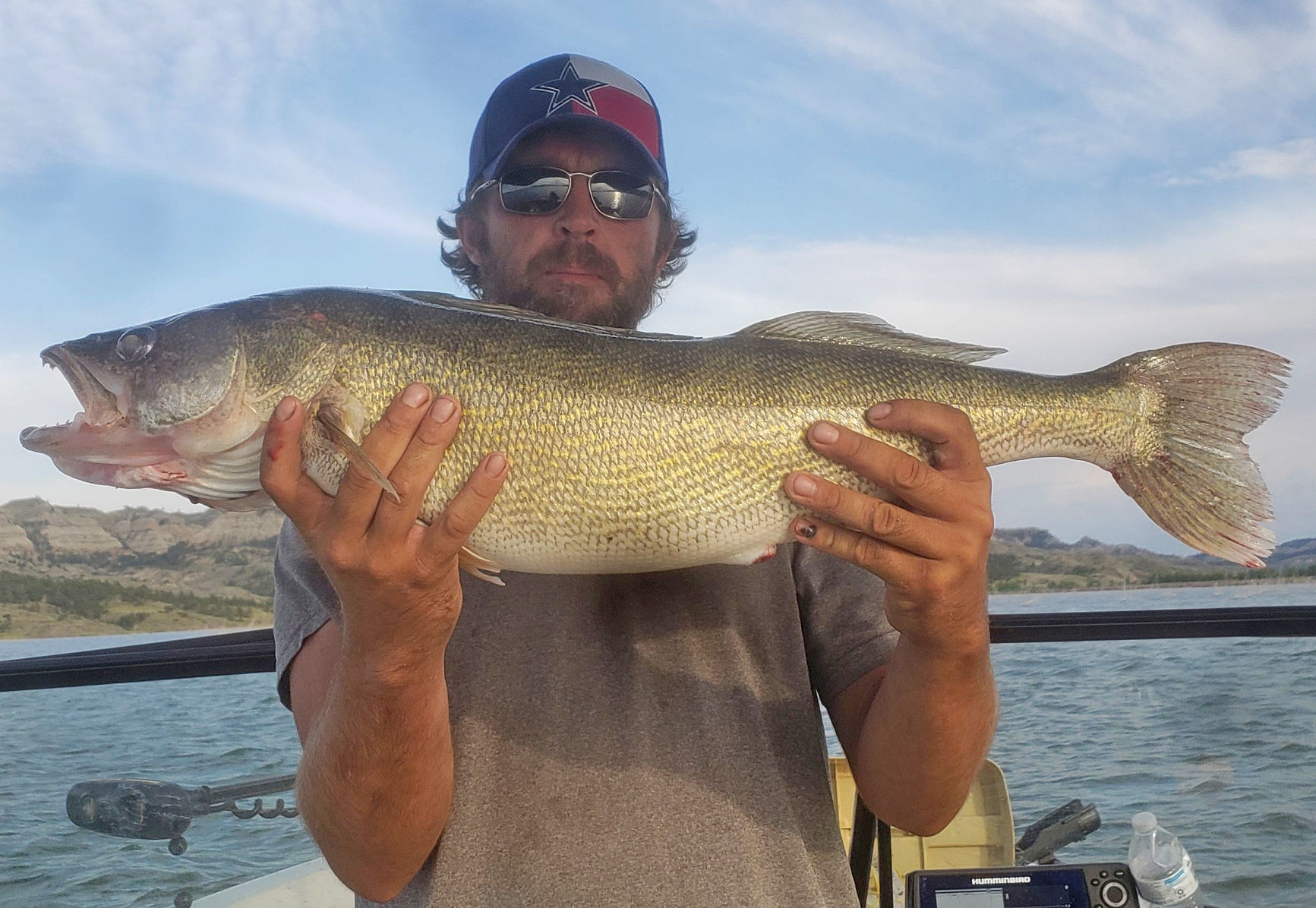 Big walleye
